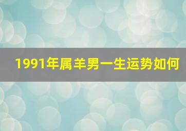 1991年属羊男一生运势如何