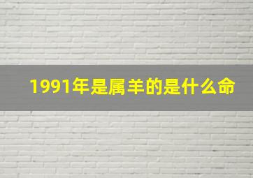 1991年是属羊的是什么命