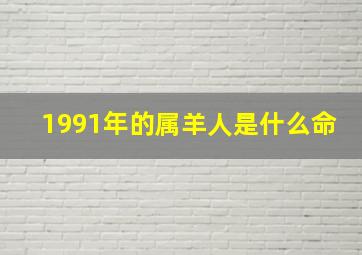 1991年的属羊人是什么命