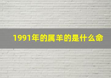 1991年的属羊的是什么命