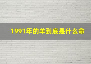 1991年的羊到底是什么命