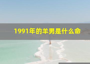 1991年的羊男是什么命