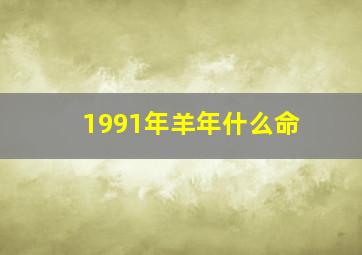 1991年羊年什么命