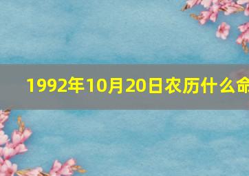 1992年10月20日农历什么命