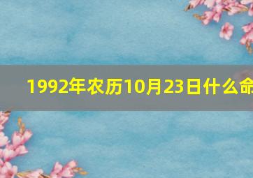 1992年农历10月23日什么命