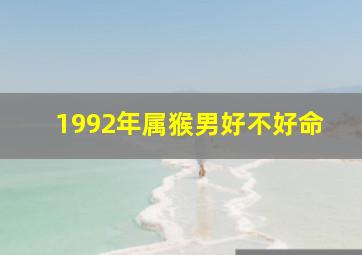 1992年属猴男好不好命