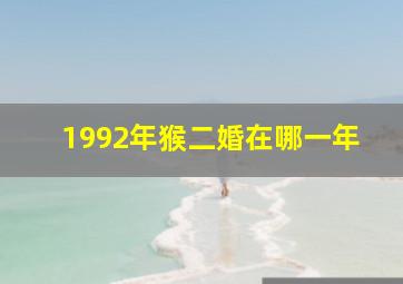 1992年猴二婚在哪一年