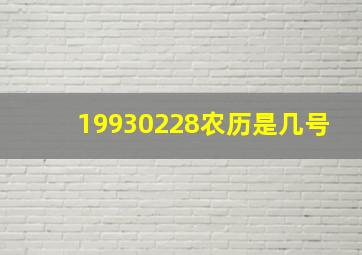 19930228农历是几号