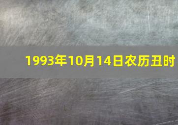 1993年10月14日农历丑时