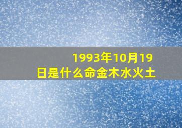 1993年10月19日是什么命金木水火土