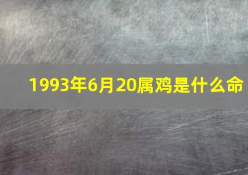 1993年6月20属鸡是什么命