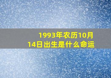 1993年农历10月14日出生是什么命运