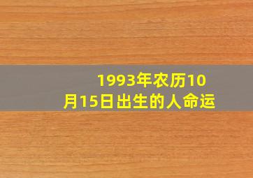 1993年农历10月15日出生的人命运