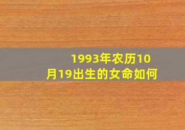 1993年农历10月19出生的女命如何