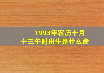 1993年农历十月十三午时出生是什么命