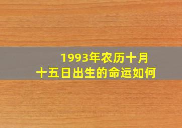 1993年农历十月十五日出生的命运如何