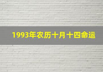 1993年农历十月十四命运