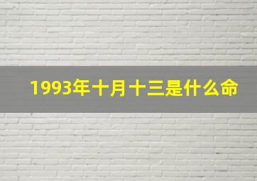 1993年十月十三是什么命