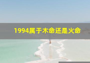 1994属于木命还是火命