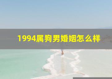 1994属狗男婚姻怎么样