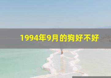 1994年9月的狗好不好