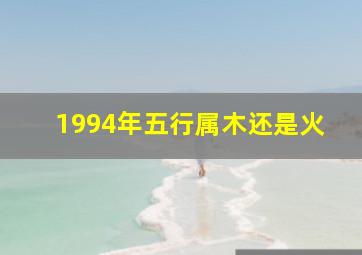 1994年五行属木还是火