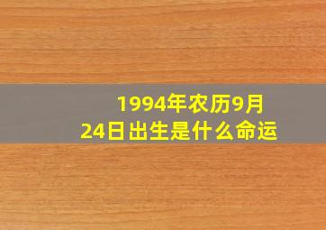 1994年农历9月24日出生是什么命运