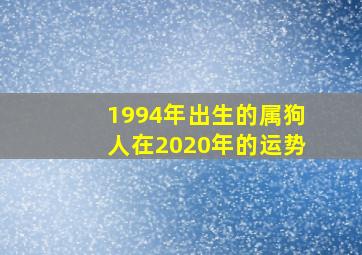 1994年出生的属狗人在2020年的运势