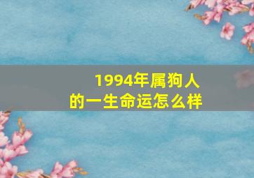 1994年属狗人的一生命运怎么样