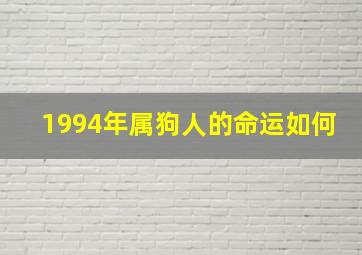 1994年属狗人的命运如何