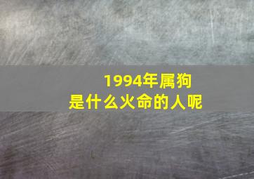 1994年属狗是什么火命的人呢