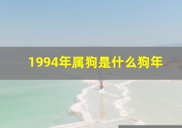 1994年属狗是什么狗年