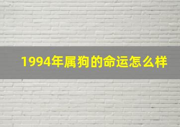 1994年属狗的命运怎么样