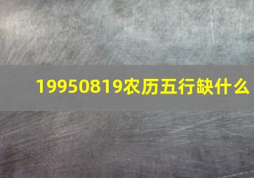 19950819农历五行缺什么