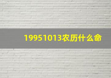 19951013农历什么命