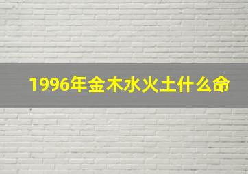 1996年金木水火土什么命