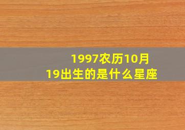 1997农历10月19出生的是什么星座