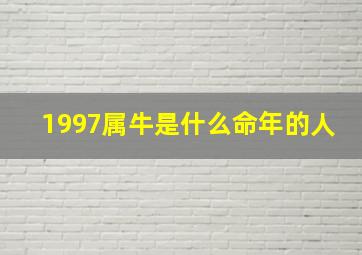 1997属牛是什么命年的人