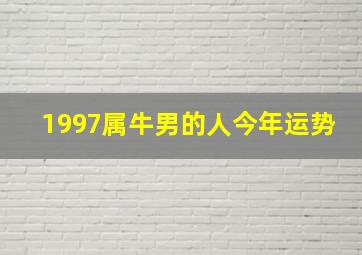 1997属牛男的人今年运势