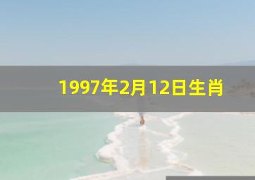 1997年2月12日生肖