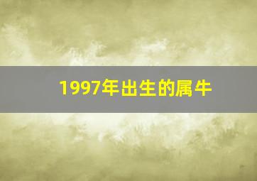 1997年出生的属牛