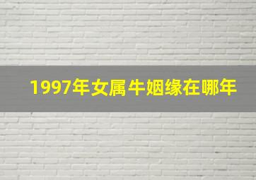 1997年女属牛姻缘在哪年