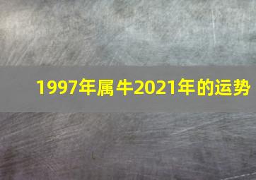 1997年属牛2021年的运势