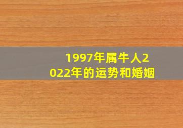 1997年属牛人2022年的运势和婚姻