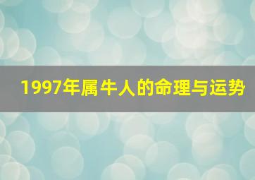 1997年属牛人的命理与运势