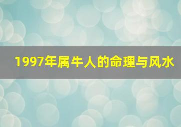 1997年属牛人的命理与风水