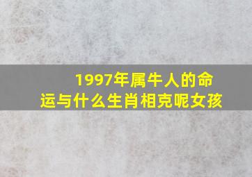 1997年属牛人的命运与什么生肖相克呢女孩