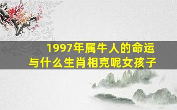 1997年属牛人的命运与什么生肖相克呢女孩子