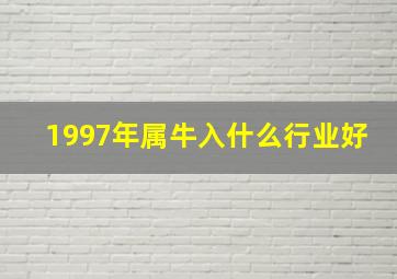 1997年属牛入什么行业好