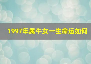 1997年属牛女一生命运如何